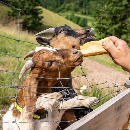 Ferienhaus Giessler Nordrach Zewnętrze zdjęcie