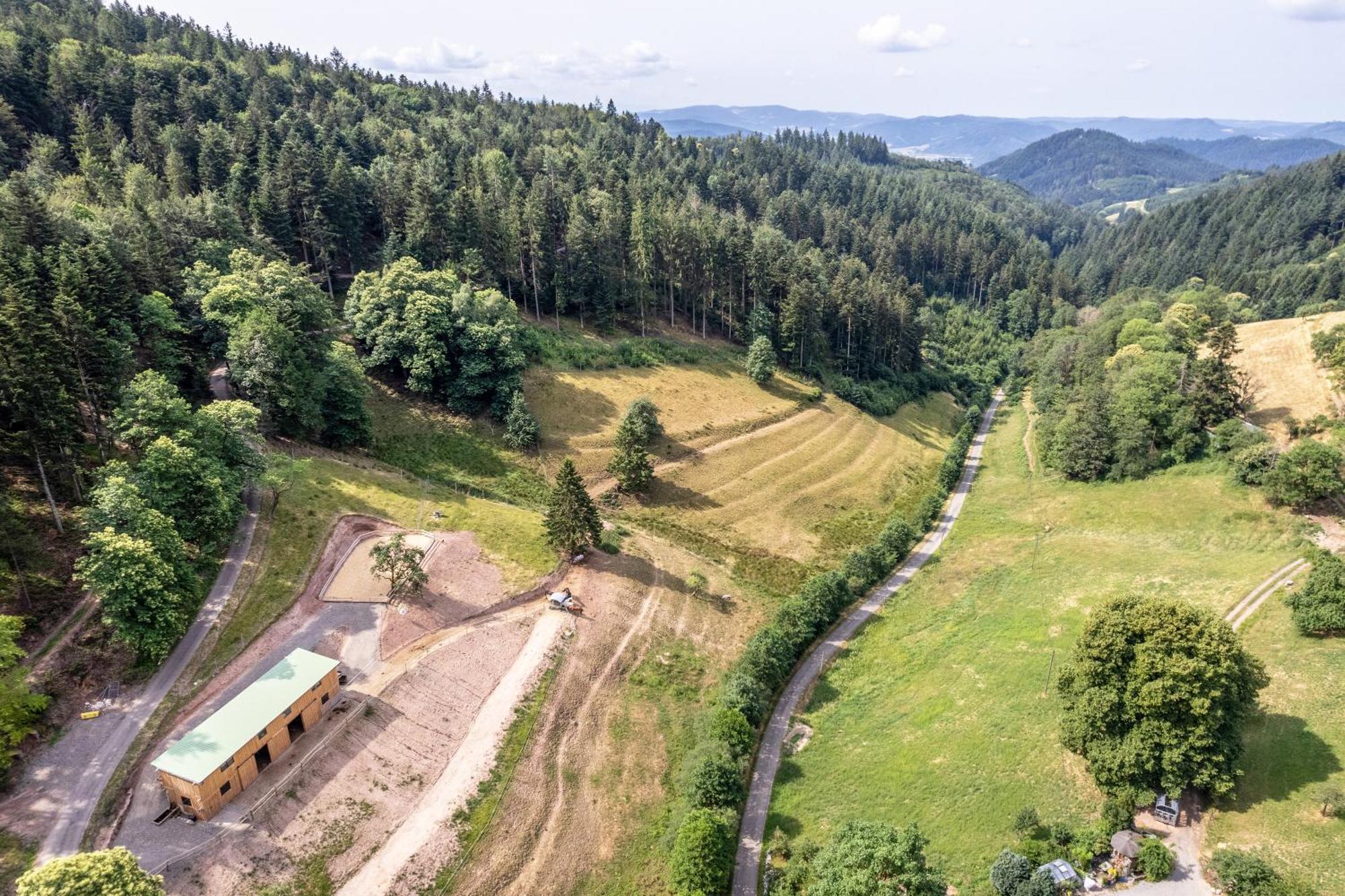 Ferienhaus Giessler Nordrach Zewnętrze zdjęcie